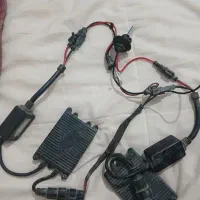 یک جفت زنون سالم