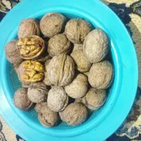 گردو فروشی. قیمت۸۰۰ تومان.