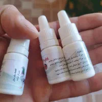 کبوتر پلاکی|پرنده|تبریز, |دیوار