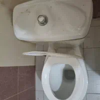 سرویس فرنگی سالم بفروش میرسد