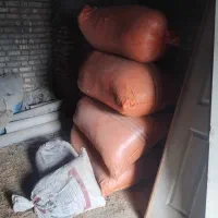 محمد جعفر ی