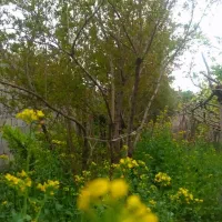 آپارتمان-85-متری