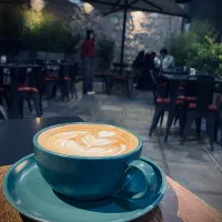 کار در کافه ، سالندار ، باریستا ، آشپز ، کمک آشپز