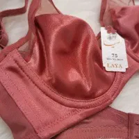 سوتین تک برند لعیا و راک|لباس|تهران, اباذر|دیوار