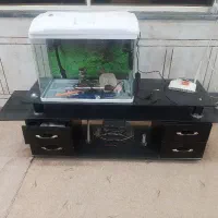 میز تی وی بلااستفاده