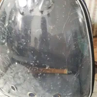 کوله پرنده بسیار تمیز وشیک  قیمت  ۱۲۰۰۰۰۰ تومان|لوازم جانبی حیوانات|تهران, وردآورد|دیوار