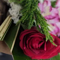 آموزش آرایشگری بامدرک