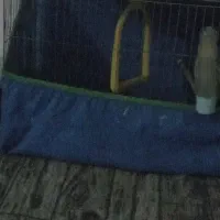 یک عدد قفس پرنده سالم قیمت توافقی