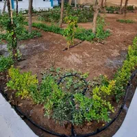 آبیاری قطره ای،آبیاری هوشمند،بام سبز،دیوار سبز،|خدمات باغبانی و درختکاری|تهران, دربند|دیوار