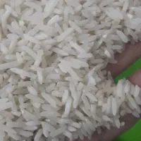 برنج طارم رامهرمز