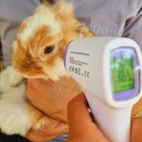 کلینیک دامپزشکی*اورژانس۲۴