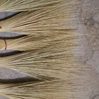 جارو|جاروبرقی، جارو شارژی، بخارشو|هامون, |دیوار