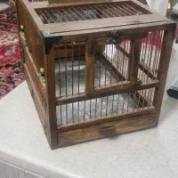 قفس سیحره چوبی نو|لوازم جانبی حیوانات|تبریز, |دیوار