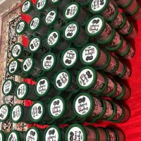 ۲ بسته قرص کود ارگانیک ۱۲۰ عددی|گل و گیاه طبیعی|تهران, فردوسی|دیوار