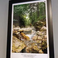 انواع قاب عکس شاسی تک به قیمت عمده