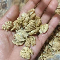 گردو مغز گردو تویسرکان