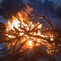 فروش یونجه درجه یک شلیف گرفته کیلو ۴۱ تمن