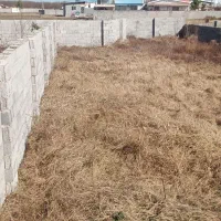 زمین|فروش زمین و ملک کلنگی|زیباکنار, |دیوار