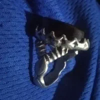 دوتا انگوشتر عقیق خراسانی  معاوضه با پرنده