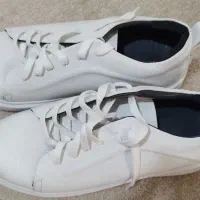 کفش چرم|کیف، کفش، کمربند|رشت, گیل|دیوار