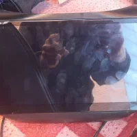 مانیتور بزرگ تیگو ۵