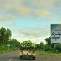زمین مسکونی250متری ارزنده باپتانسیل رشدسریع وشرایط|فروش زمین و ملک کلنگی|چاف و چمخاله, |دیوار
