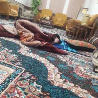 اجاره خانه|اجارهٔ خانه و ویلا|یاسوج, |دیوار