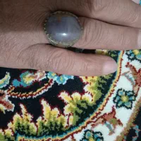 انگشتر شجر پاییزه