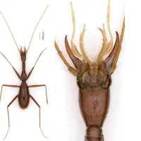 مرکز فوق تخصصی سم پاشی و کنترل آفات