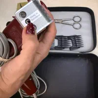 موزر اصل آلمان