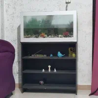 اکواریوم