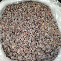 کشمش اورگانیک