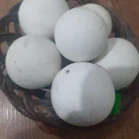 سنگ الماس آسیاب