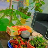 مغازه تجاری حاشیه سپاه