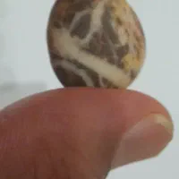 سنگ آرزو|جواهرات|تهران, کرمان|دیوار