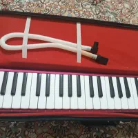 ملودیکا مدل سوان|سازهای بادی|سنندج, |دیوار