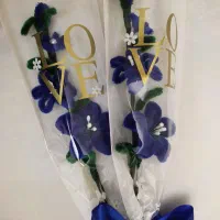 دو شاخه پیپ پاک کنی برای مدرسه