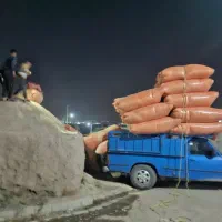 کاه گندم و جو سفال جو