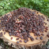 کشمش آفتابی بدون مواد و شهد دار|خوردنی و آشامیدنی|رشت, بازار|دیوار