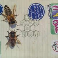 تست علوم نهم خیلی سبز مناسب تیزهوشان و نمونه ۱۴۰۳