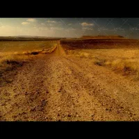 زمین-برای-سرمایه-گذاری