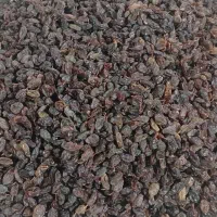 کشمش عسکری سفید وبرگه ی هلو بدون تیز آب ارگانیک