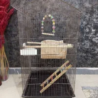 قفس طوطی عروس