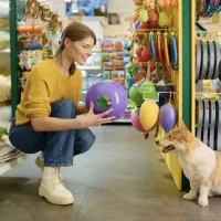 استخدام فروشنده حضوری پت شاپ