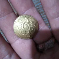 دکمه|کلکسیون سکه، تمبر، اسکناس|نیشابور, رحمت آباد|دیوار