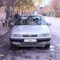 زانتیا خانگی در حد بکر