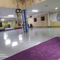 مربی هوازی بانوان ومربی رقص|استخدام آموزشی|تهران, تولید دارو|دیوار