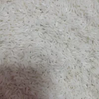 برنج هاشمی درجه ۱ ۲۰ کیلو به فروش میرسه