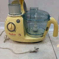 غذاساز و خردکن مولینکس