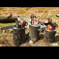 خریددرختخریدارچوب هرسکاری برشکاری|خدمات باغبانی و درختکاری|تبریز, |دیوار